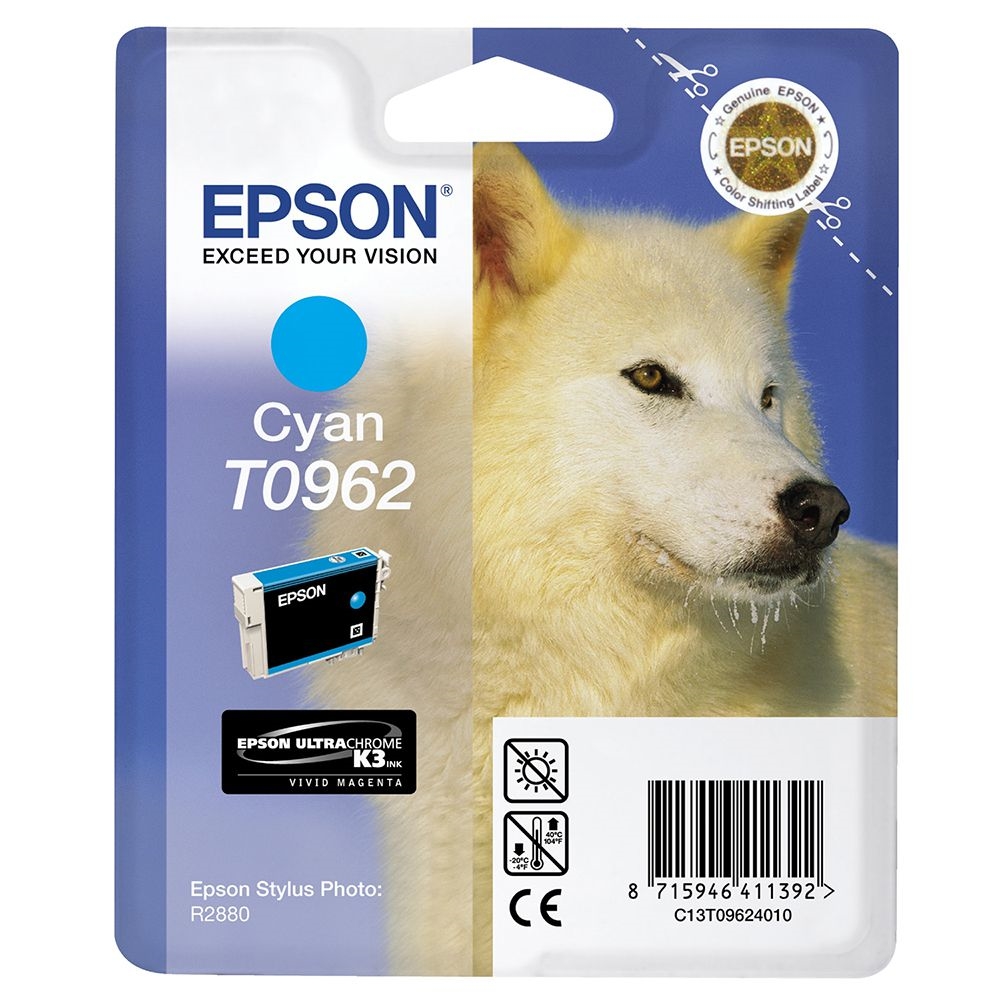 Epson T096 Cyan Cartridge - Retail Pack (untagged) for Epson Stylus Photo R2880