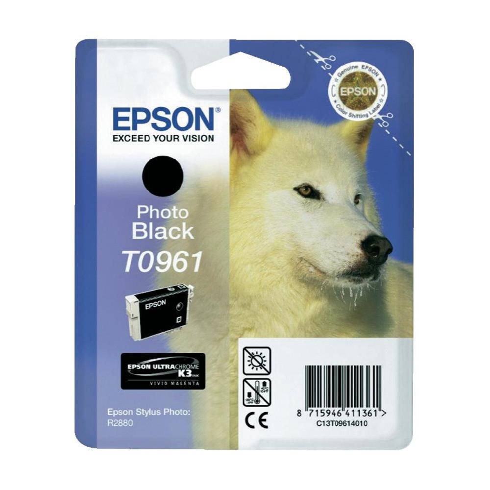 Epson T096 Photo Black Cartridge - Retail Pack (untagged) for Epson Stylus Photo R2880