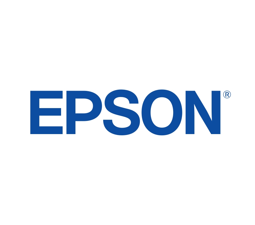 Epson Memory expansion SIMM 64 MB for EPL-5900/6100/N/PS, EPL-N2550/DT/T/3000/D/DT/DTS/T; AcuLaser 2600 DN/DTN/N/TN, C900/N/1100