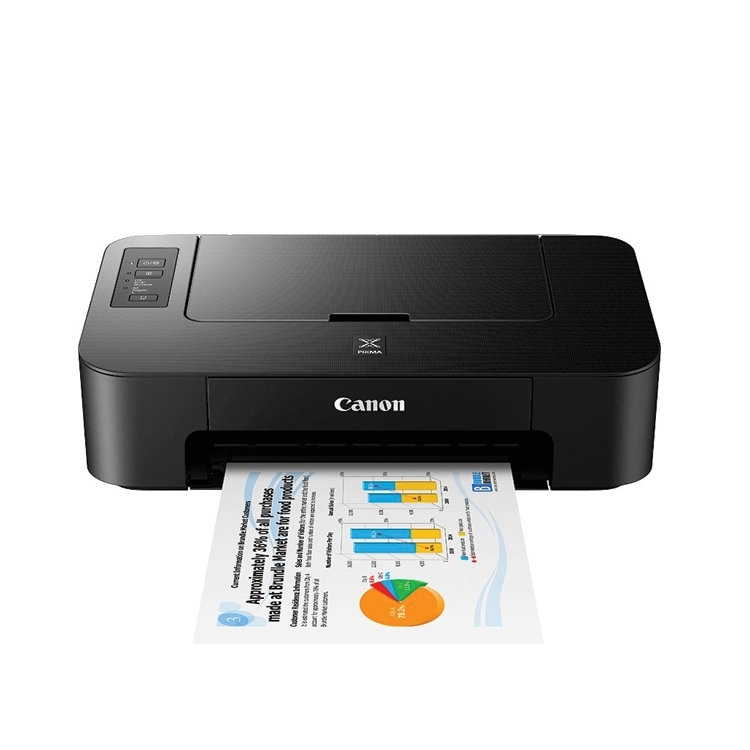 Canon PIXMA TS205 + Canon PG-545 BK