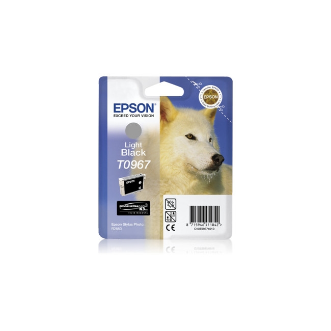 Epson Singlepack Light Black T096740