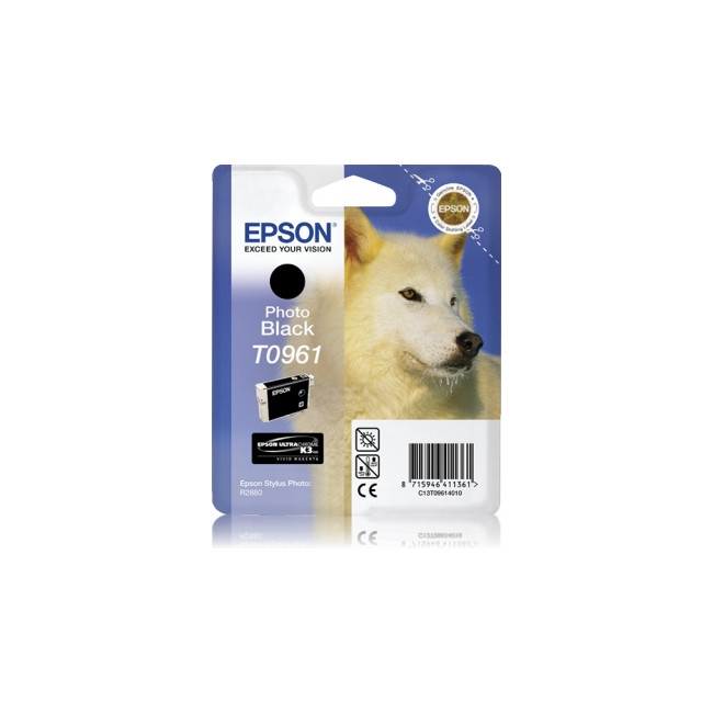 Epson Singlepack Photo Black T096140
